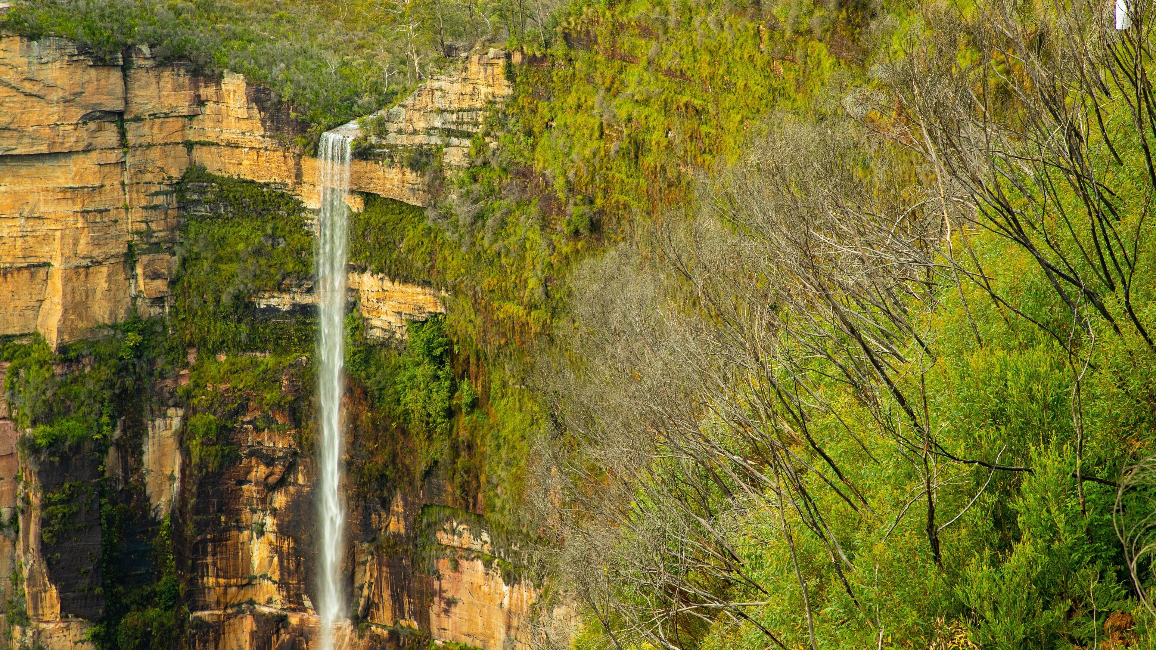 Govetts Leap lookout showing a gorge or canyon and a waterfall