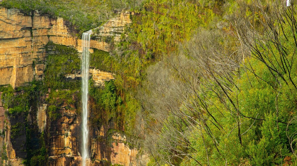 Govetts Leap lookout showing a gorge or canyon and a waterfall