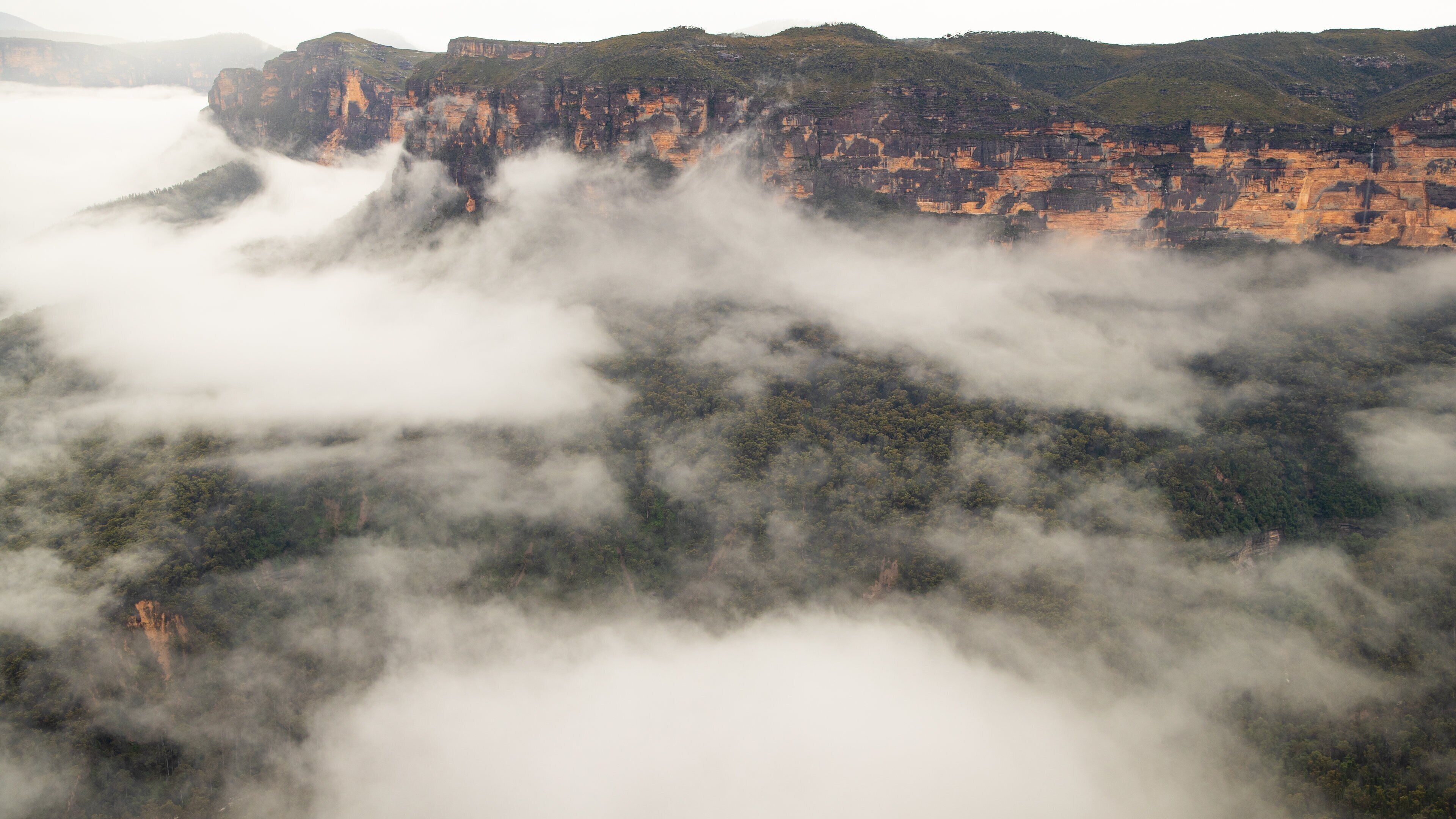 Evans Lookout which includes a gorge or canyon, mist or fog and landscape views