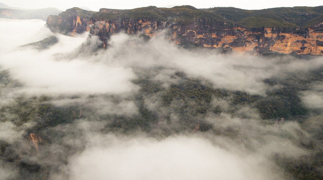 Evans Lookout which includes a gorge or canyon, mist or fog and landscape views