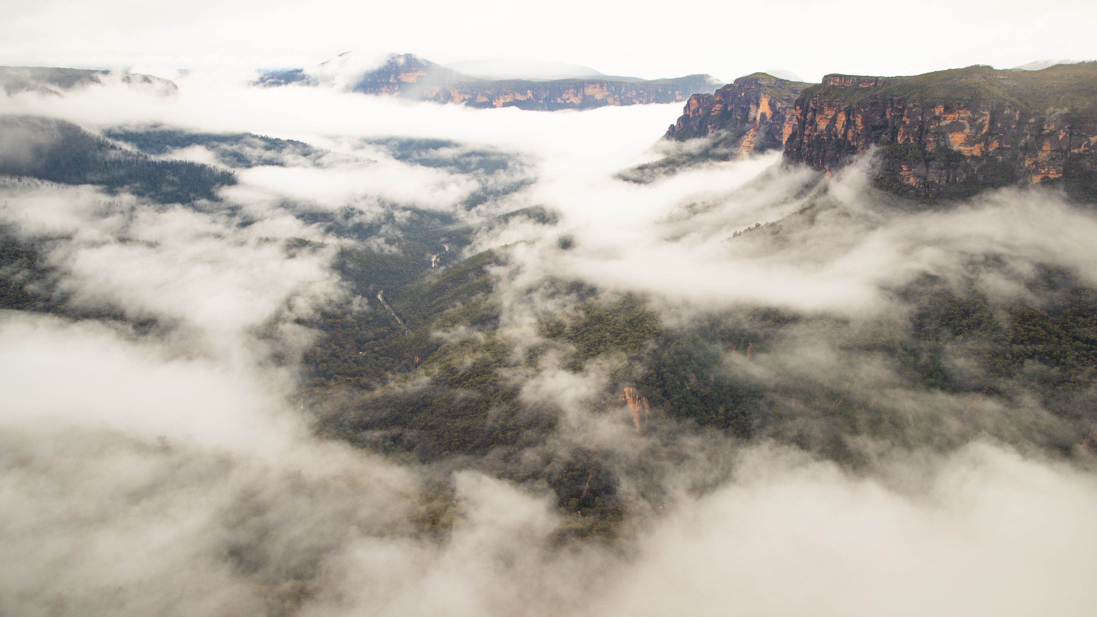 Evans Lookout showing landscape views, a gorge or canyon and mist or fog