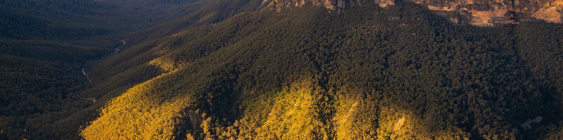 Evans Lookout featuring a gorge or canyon, landscape views and tranquil scenes