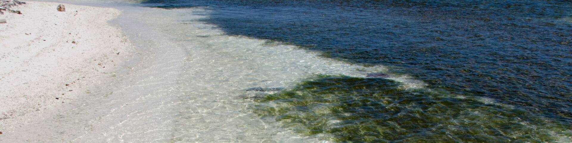Belize, Caribbean Sea, Wild Orchid Caye (aka Moho Caye). Small private island in the Caribbean Sea along the Barrier Reef.