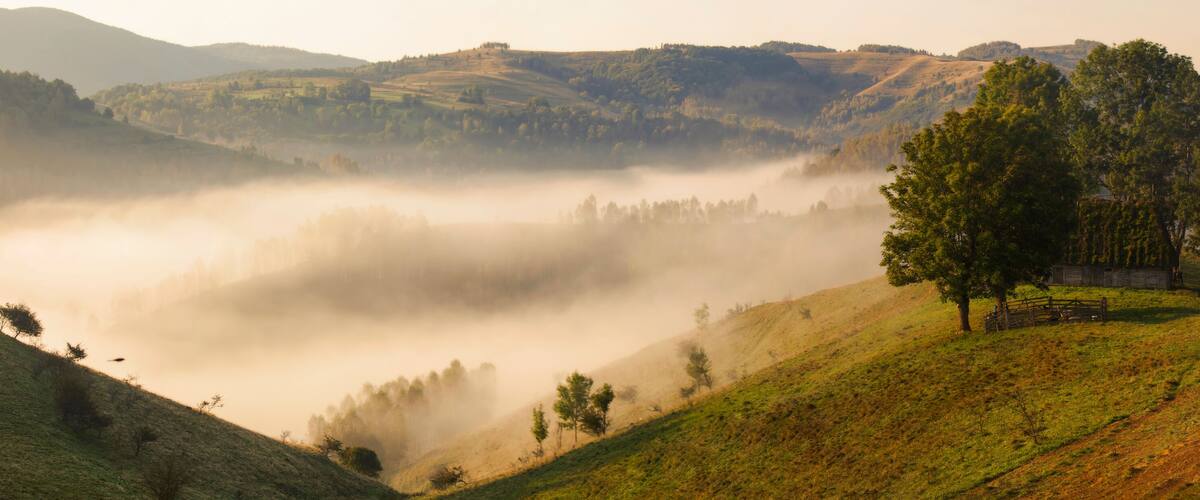A misty valley with rolling hills, scattered trees, and a wooden fence.