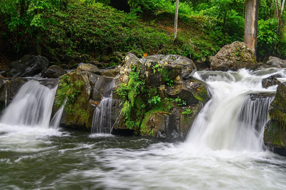 Une cascade d’eau se déversant sur des rochers couverts de mousse, au cœur d’une forêt luxuriante.