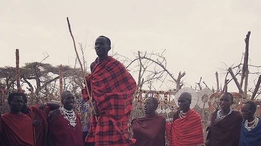 Our experience with visiting a Maasai village was a bitter sweet affair, although we did get interesting insights into their culture, tradition and beliefs.
Maasai are famous for their jumping, which is a way for the guys to impress the ladies - Dave got some decent height so he had some good prospects in this village. It only costs 10 cows per wife (you can have as many as you like) - quite a bargain!
One downer was that they just saw us as walking ATMs... We paid $50 USD to enter the village but when they realised that we didn't have any more cash with us to buy souvenirs from their 'shop' we quickly got escorted through the back door...
#indigenouspeoplesday #Maasai #Tanzania #Africa #thewayfindings #travel #explore