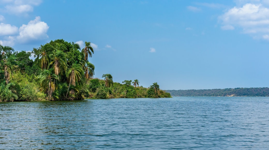 Boat Cruise in Kazinga Channel. Uganda