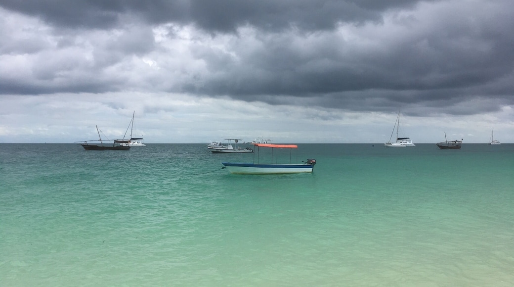 Zanzibar
Gréât Island in Tanzania
Lovely beaches