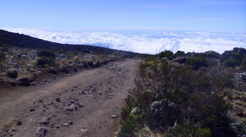 Walking above the clouds on the way up to the top of Mount Kilimanjaro.