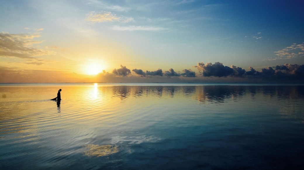 A local fisherman collecting seaweed from the shores of Zanzibar at the crack of dawn. #springfun