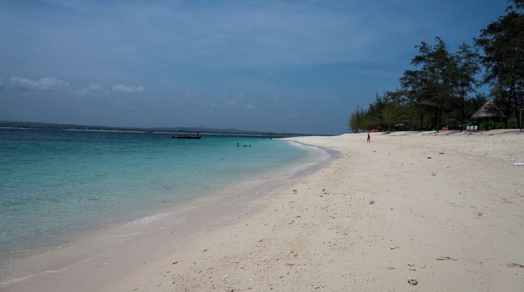 Visiting the beautiful paradise of Mbudya Island... one of the four Marine Reserves in Dar es Salaam.