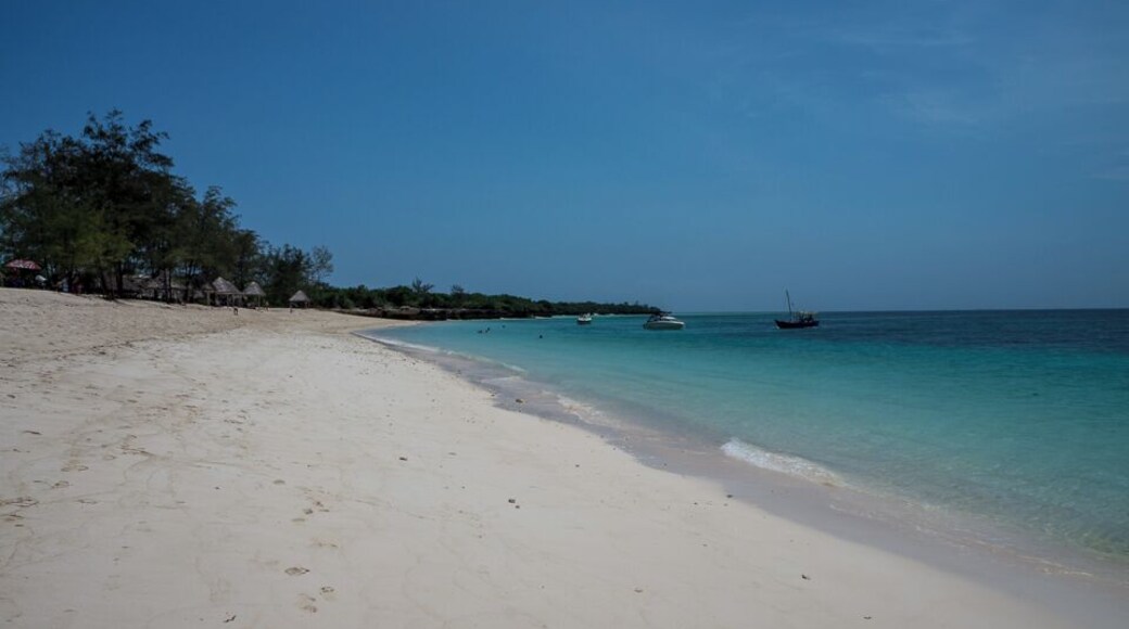Visiting the beautiful paradise of Mbudya Island... one of the four Marine Reserves in Dar es Salaam.