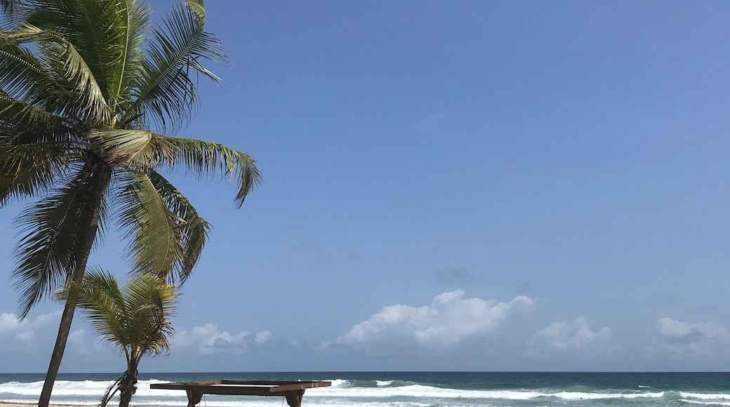 Assinie Beach in Ivory Coast- An untouched and raw beach about 1.5 hours from Abidjan most frequented by locals for a getaway wekeend by this practically private ( mass tourism hasnât landed yet) beach.
#beachtips