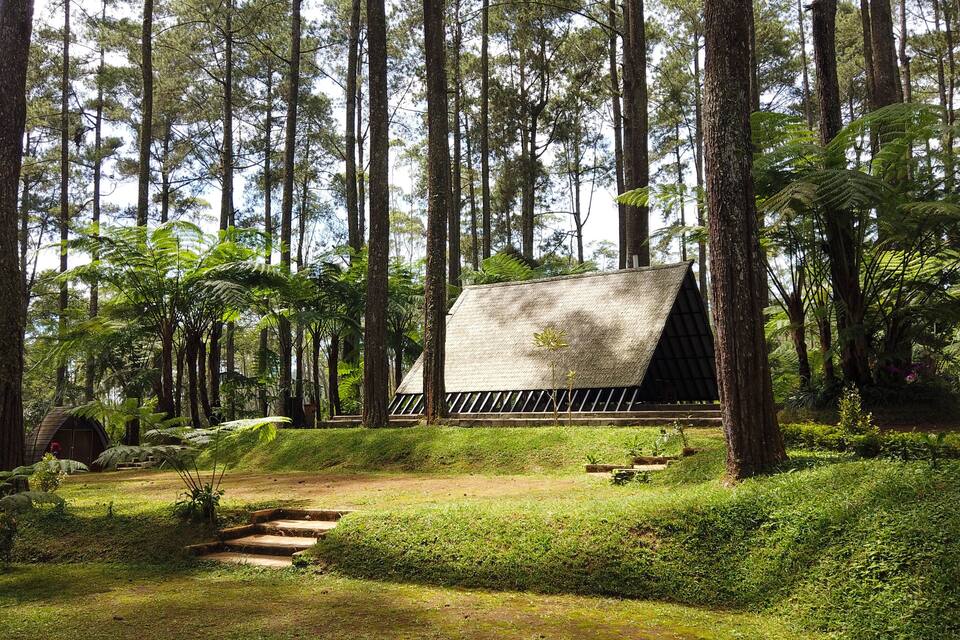 A forest with a thatched-roof structure and a stone pathway.