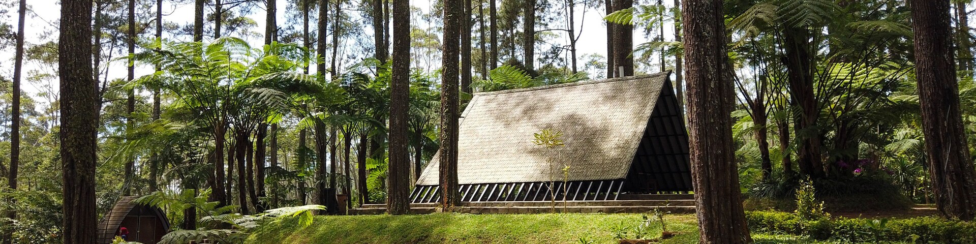 Small hut in the middle of pine forest