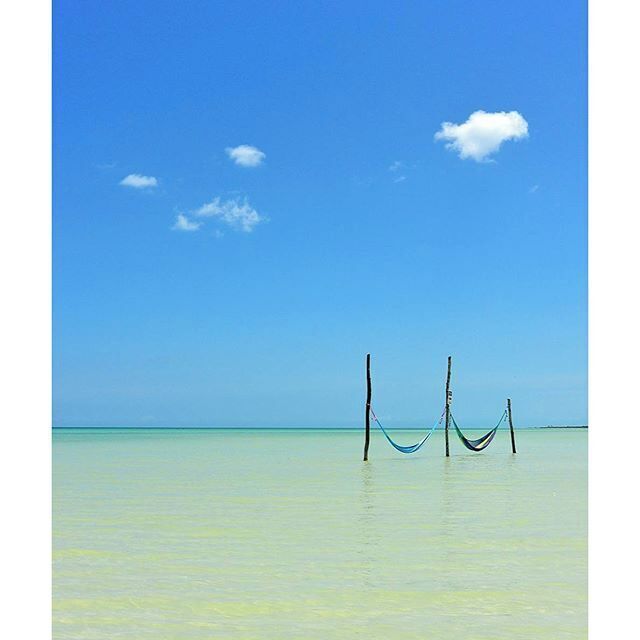 These picturesque hammocks can be found in the clear blue waters of Isla Holbox, Quintana Roo. Definitely one of our favourite spots in Mexico so far. #blue #islandlife