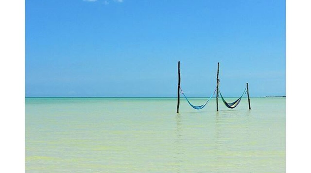 These picturesque hammocks can be found in the clear blue waters of Isla Holbox, Quintana Roo. Definitely one of our favourite spots in Mexico so far. #blue #islandlife