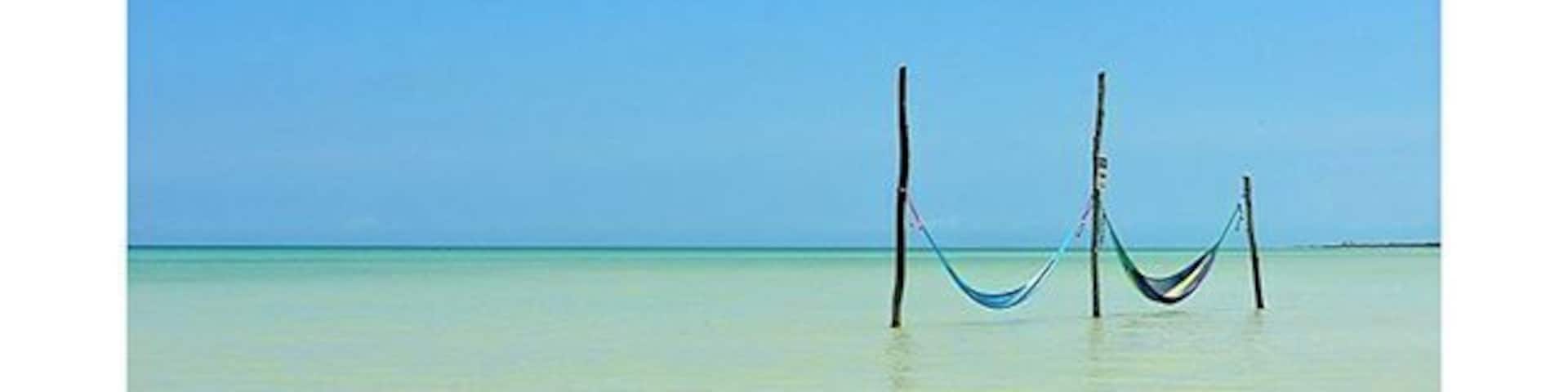 These picturesque hammocks can be found in the clear blue waters of Isla Holbox, Quintana Roo. Definitely one of our favourite spots in Mexico so far. #blue #islandlife