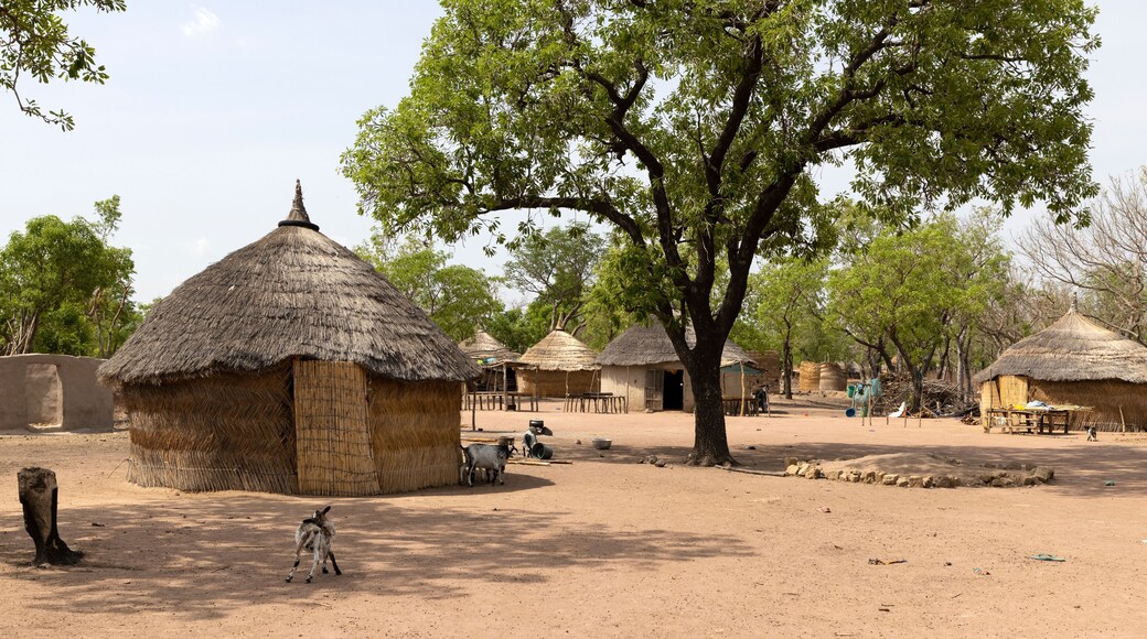 Traditional northern Ghana grass hut bush village Africa. Northern region of Ghana. Rural traditional mud and straw huts and buildings. Poverty economy. African tribal and native homes.