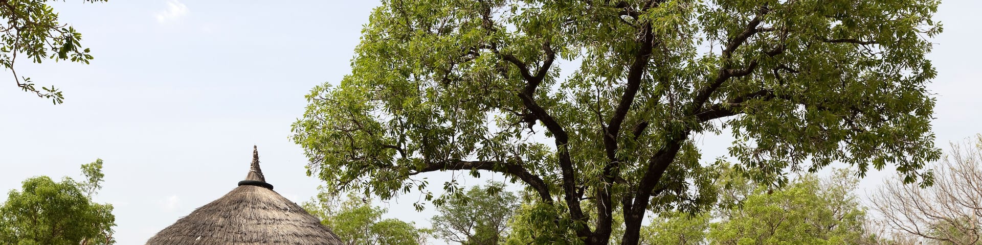 Traditional northern Ghana grass hut bush village Africa. Northern region of Ghana. Rural traditional mud and straw huts and buildings. Poverty economy. African tribal and native homes.
