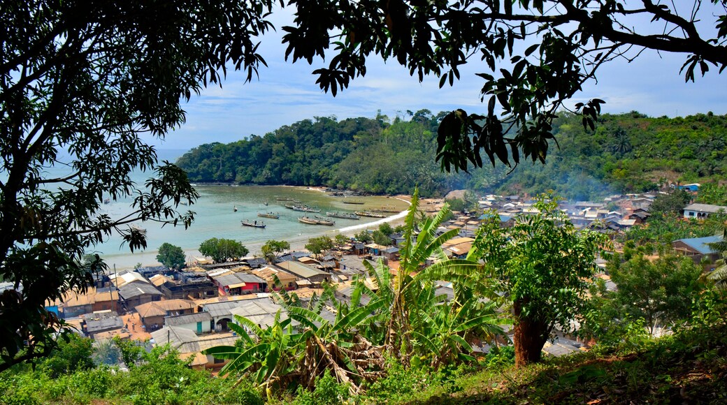 Western North Region