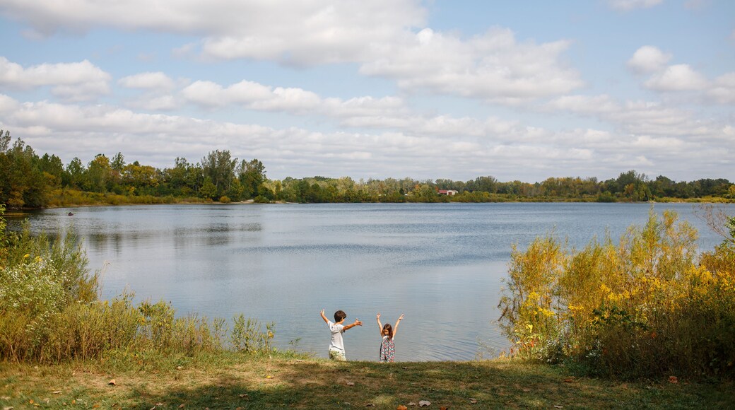 Distant view of two happy children with arms raised by lake