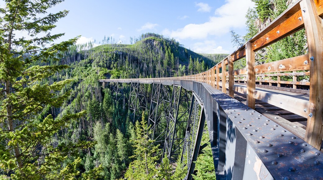 Historic Trestle at Myra Canyon Provincial Park, Canada