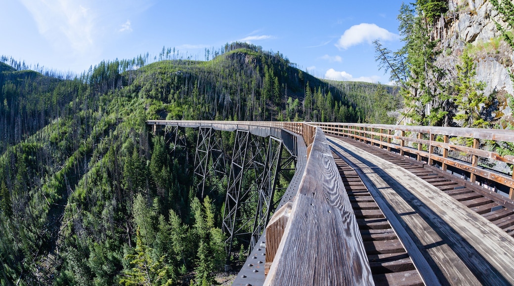 Ponts de Myra Canyon
