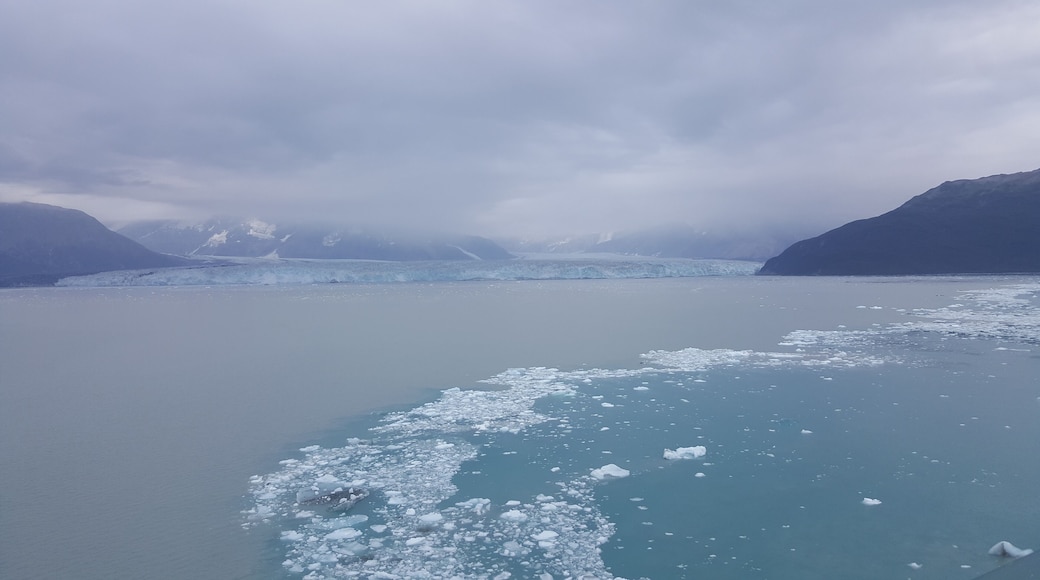Cruising towards the Hubbard Glacier. What an experience!
-2019