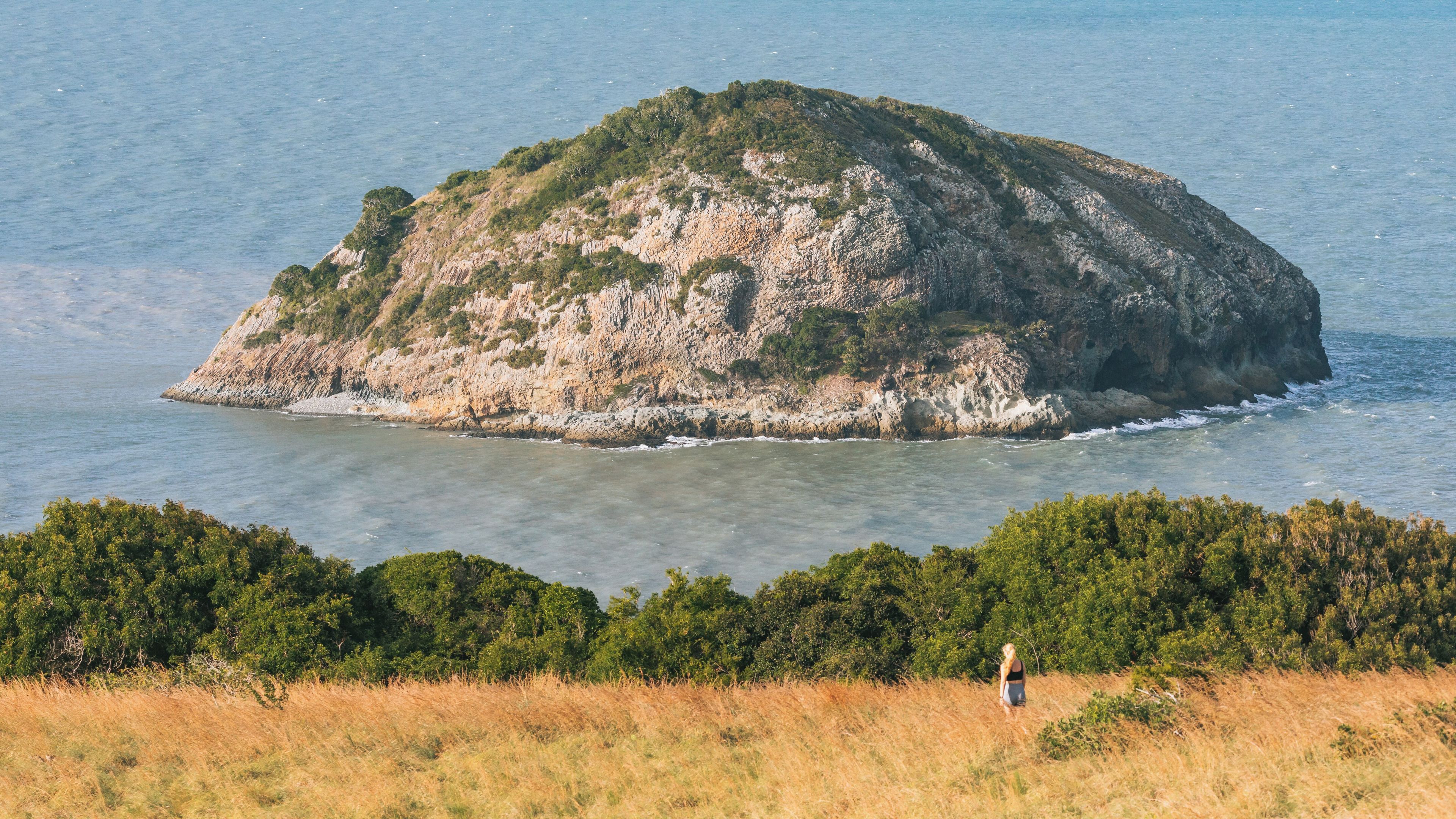 A rocky island surrounded by calm sea waters, with dense greenery on its slopes and a grassy foreground.
