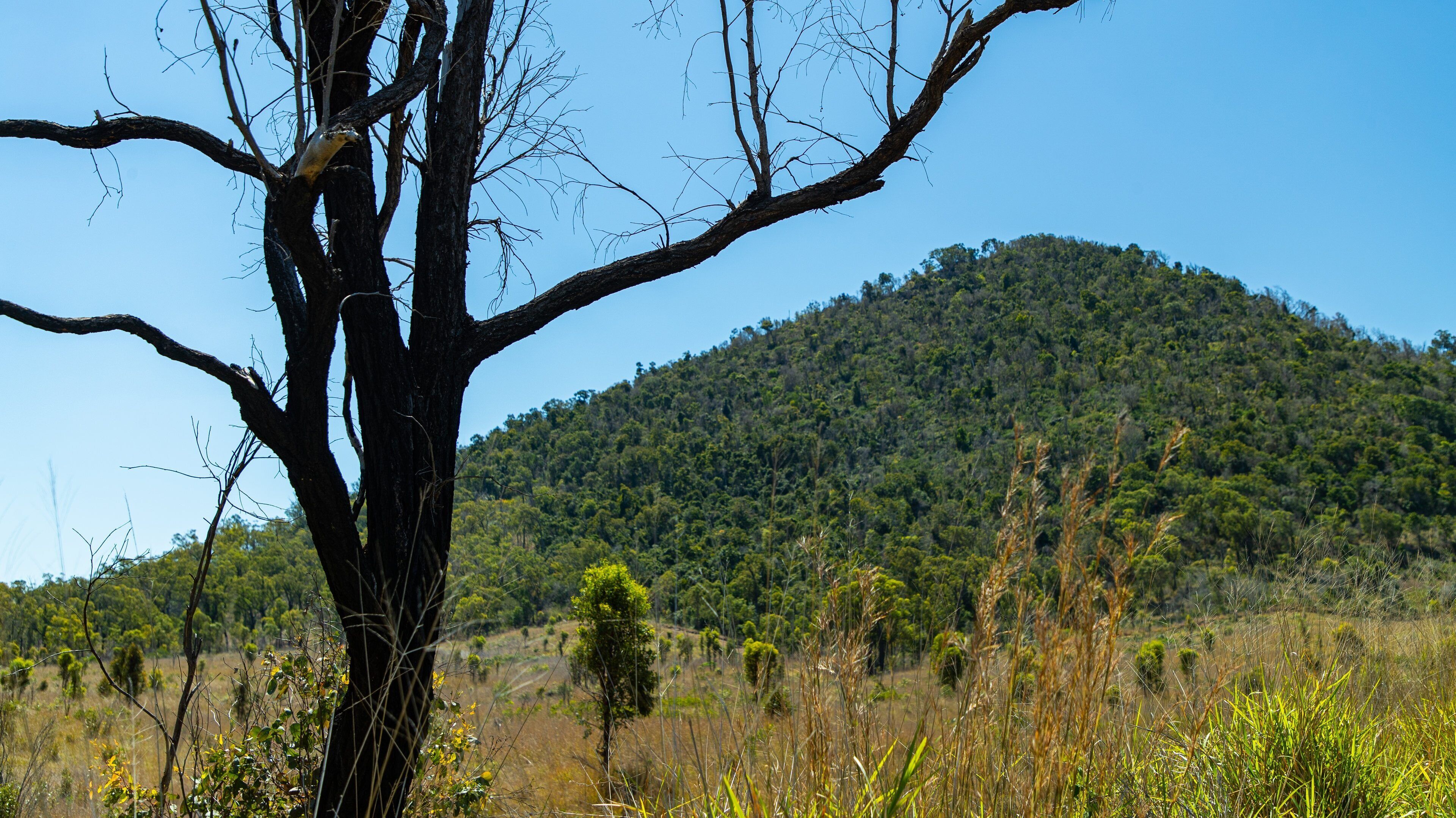 Mount Etna Caves National Park featuring mountains and tranquil scenes