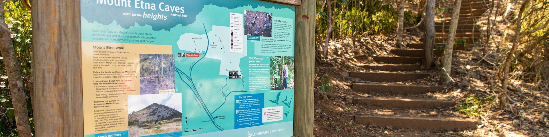 Mount Etna Caves National Park showing forest scenes and signage