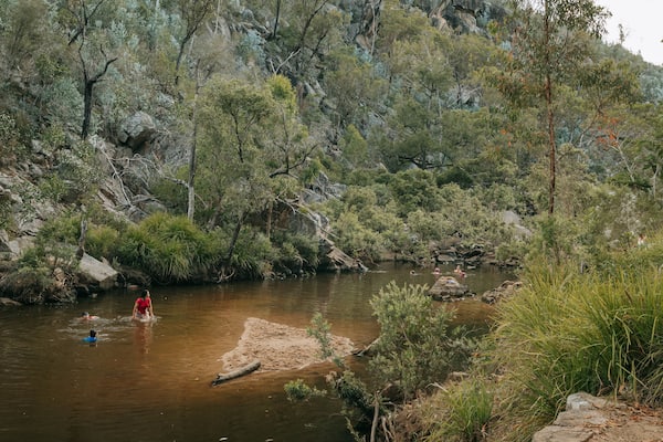 A river surrounded by dense forest and rocky terrain.