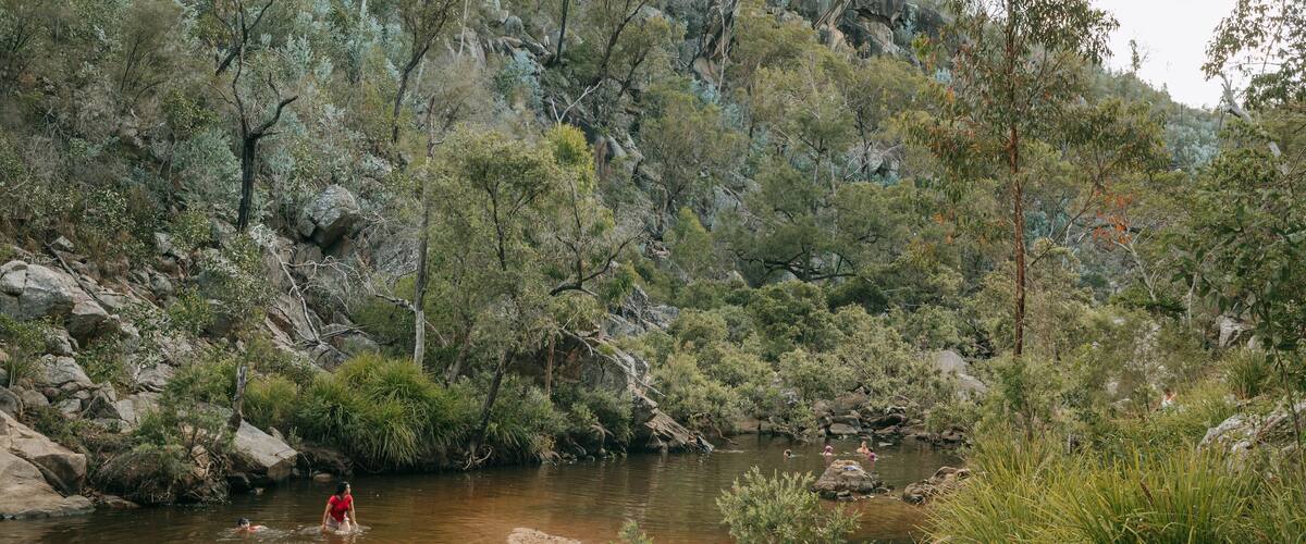 A river surrounded by dense forest and rocky terrain.