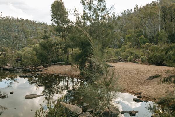 Crows Nest National Park showing forest scenes and a river or creek