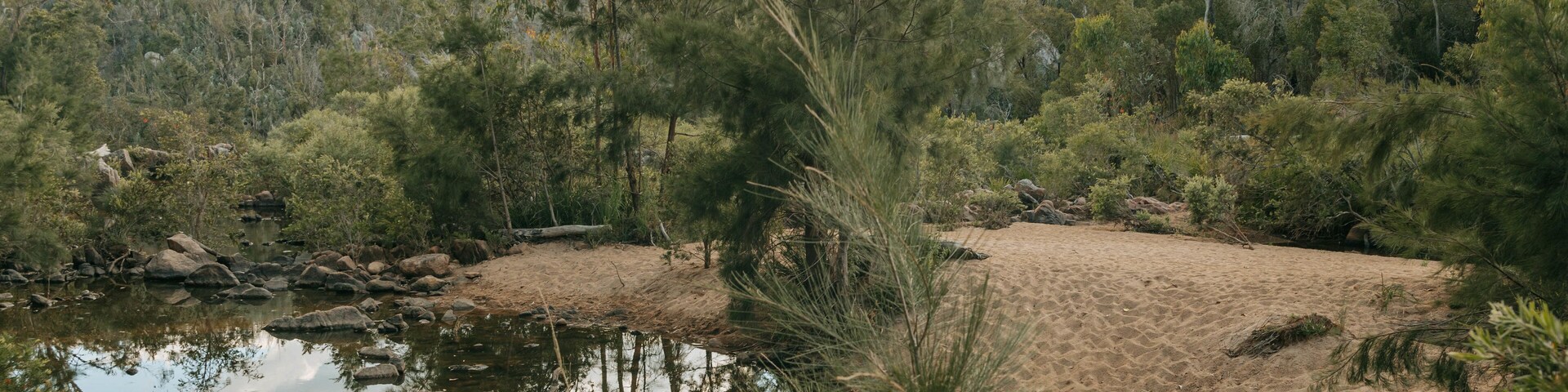 Crows Nest National Park showing forest scenes and a river or creek
