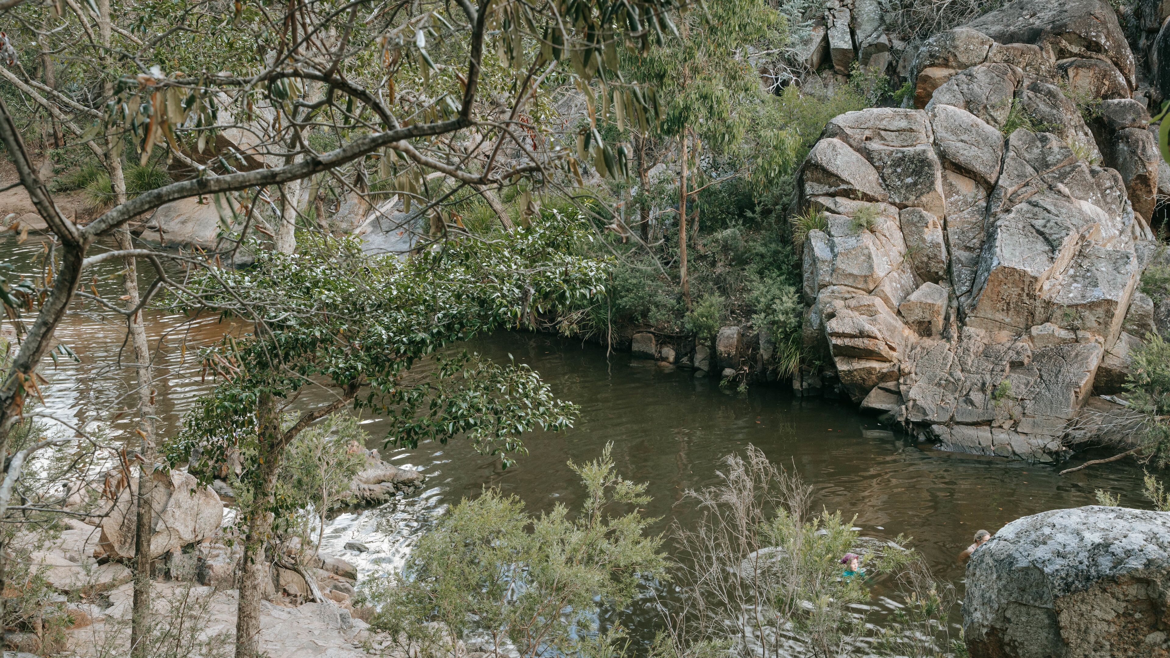 Crows Nest National Park featuring a river or creek and forests