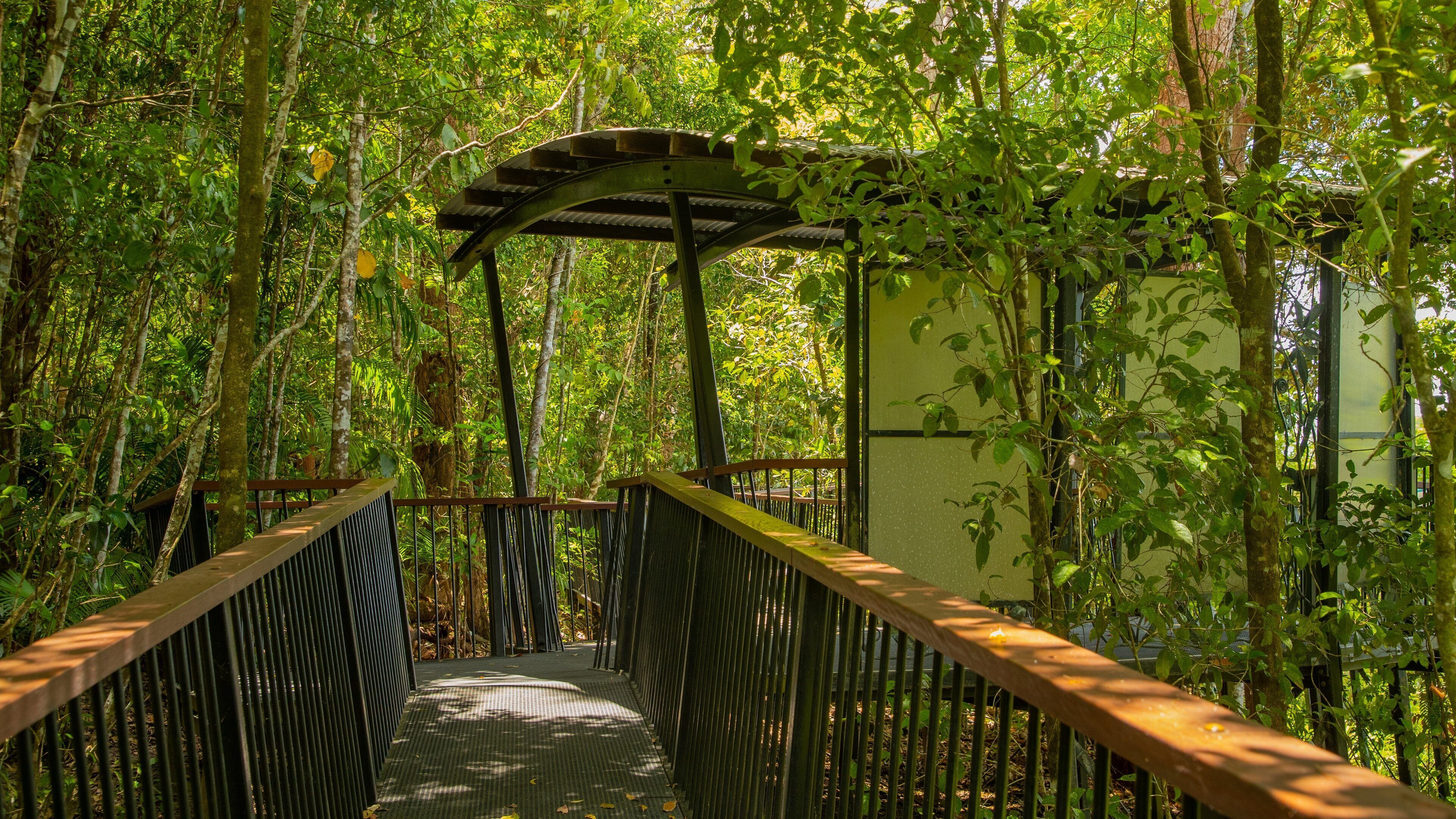 Kuranda National Park featuring a garden and forest scenes