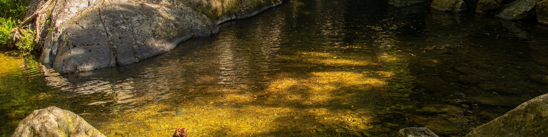 Kuranda National Park which includes a lake or waterhole and swimming as well as an individual femail