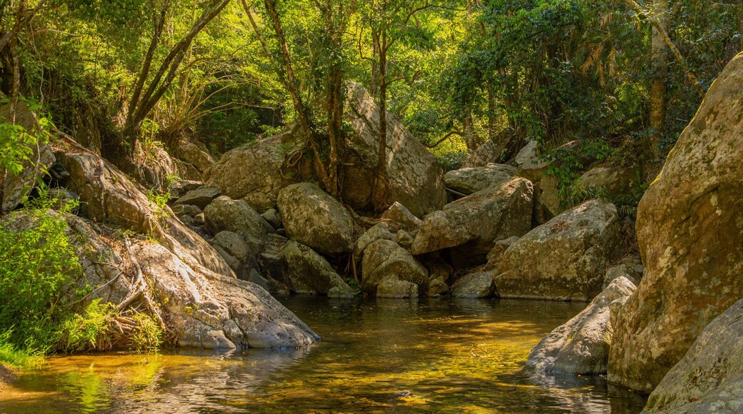 Kuranda National Park which includes forests and a pond