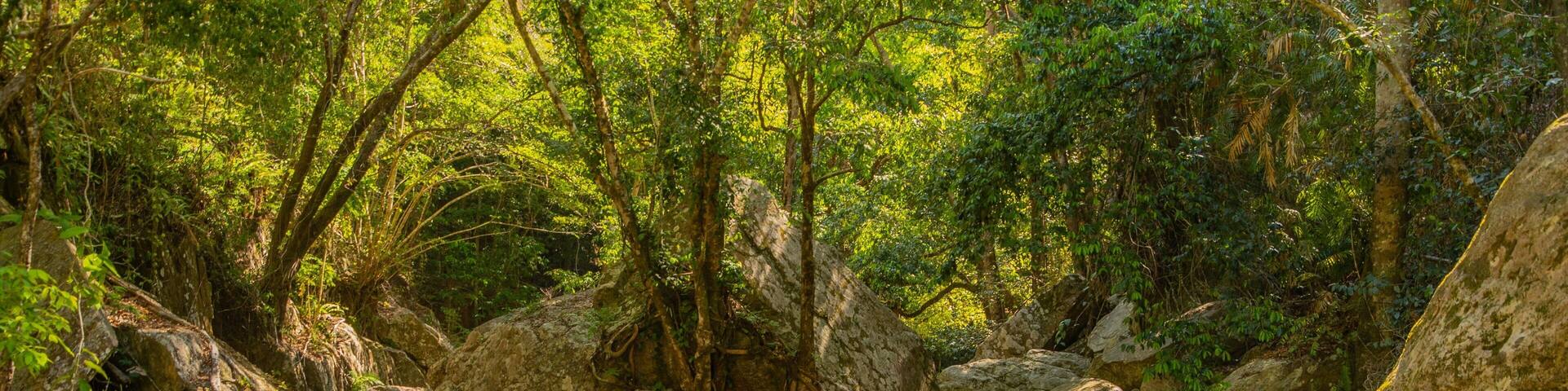 Kuranda National Park which includes forests and a pond