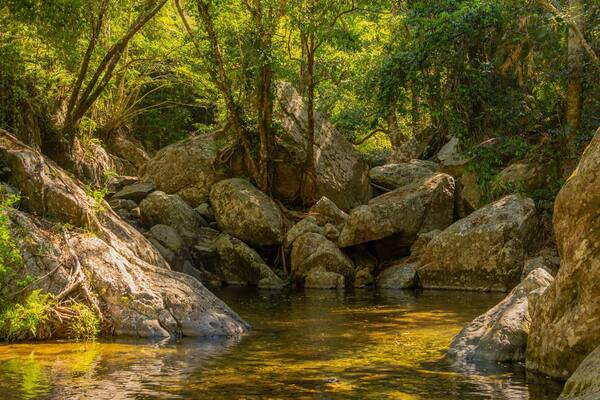 Kuranda National Park which includes forests and a pond