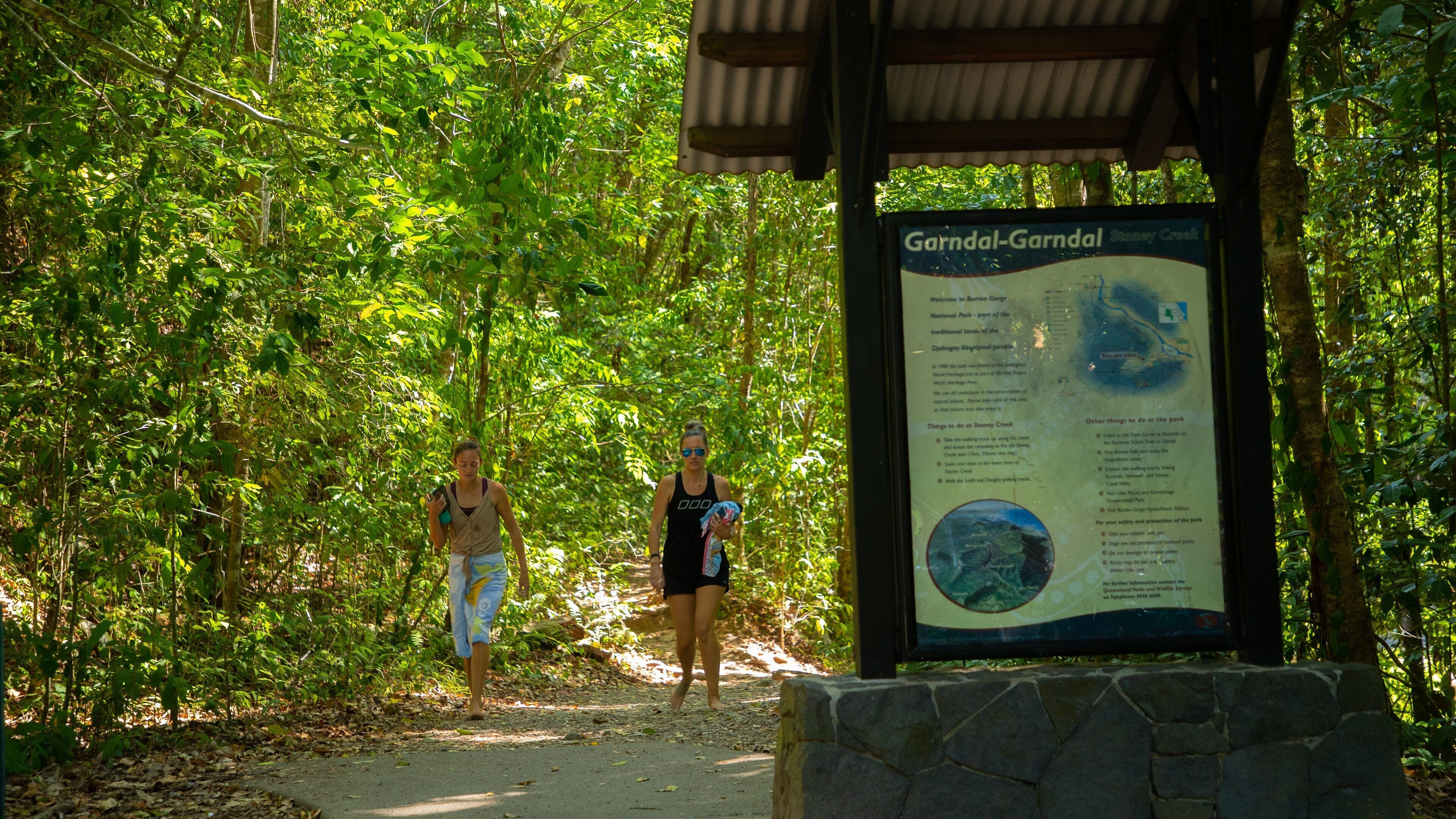 Kuranda National Park which includes signage and forest scenes as well as a family