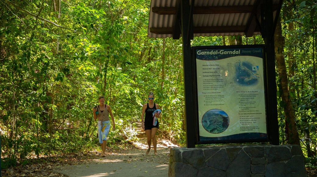 Kuranda National Park which includes signage and forest scenes as well as a family