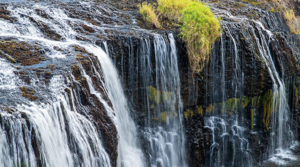 Millstream Falls National Park which includes a river or creek