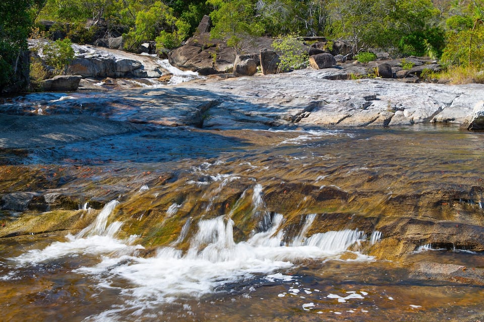 Un ruisseau aux eaux claires qui serpente sur des rochers, avec une forêt en arrière-plan.