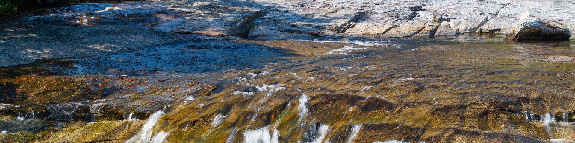 Davies Creek National Park featuring a river or creek