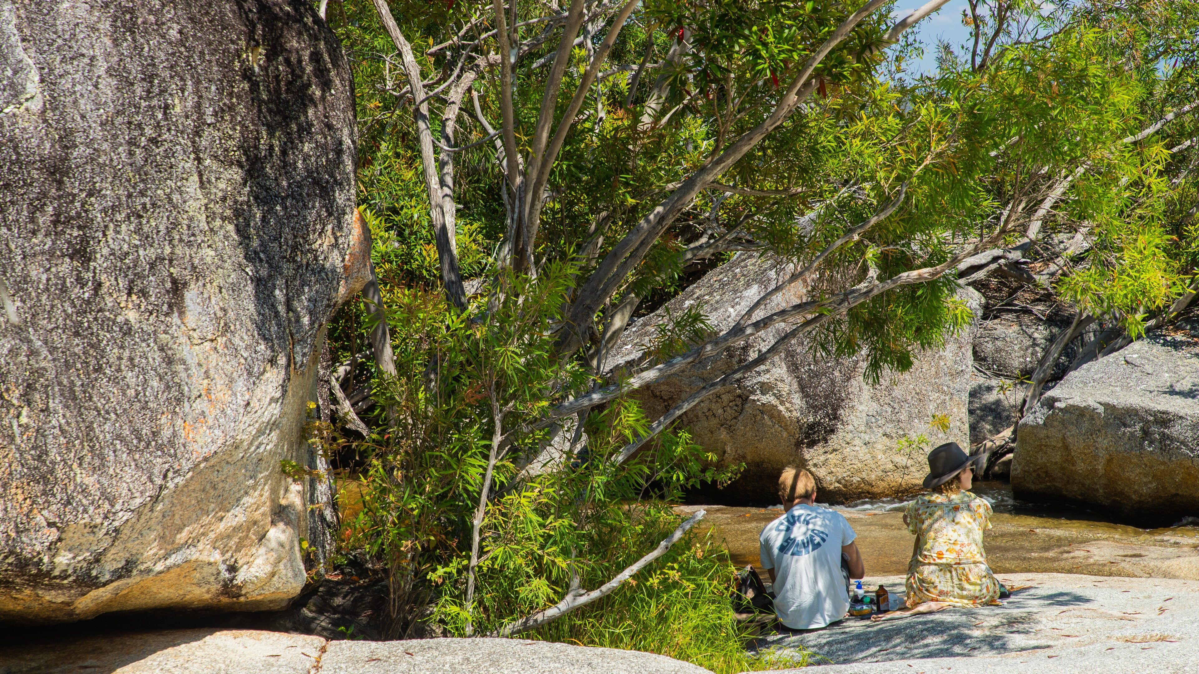 Davies Creek National Park showing a river or creek as well as a couple
