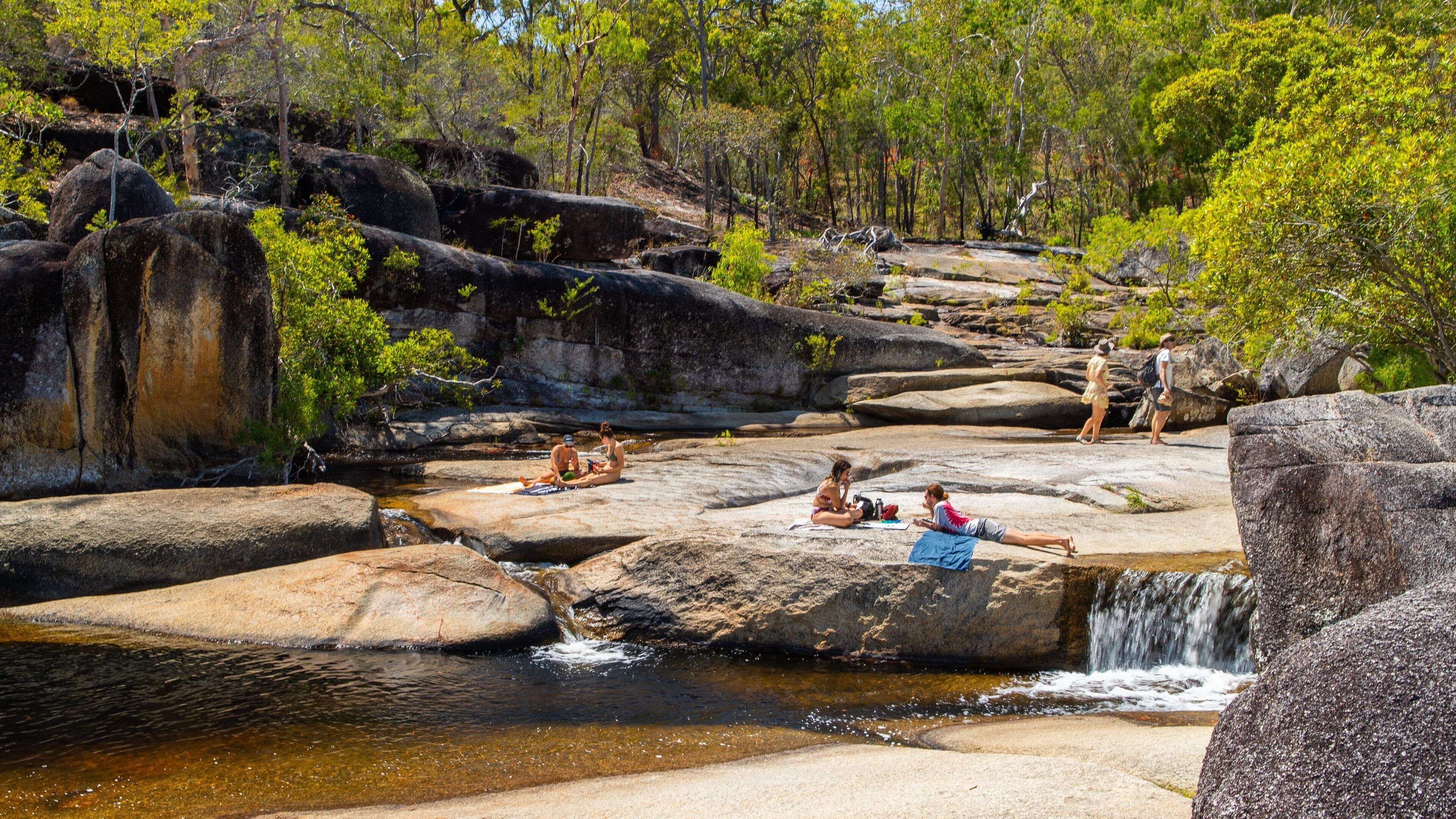 Davies Creek National Park showing a river or creek as well as a small group of people
