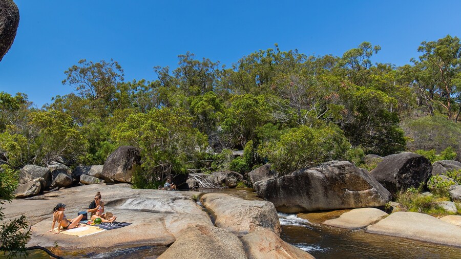 Davies Creek National Park showing a river or creek as well as a couple